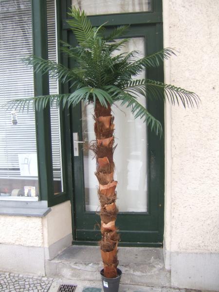 Künstliche Phönix-Palme ca. 2,20mTop-Qualität Bestseller